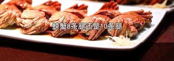螃蟹8条腿还是10条腿