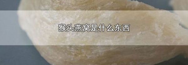 猴头燕窝是什么东西