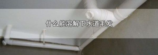 什么能溶解下水道毛发