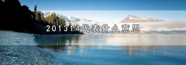 201314代表什么意思
