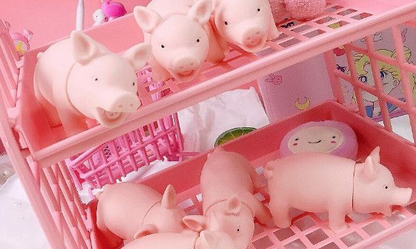 男生叫女生猪的含义