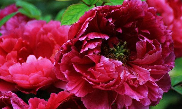 201314代表什么意思