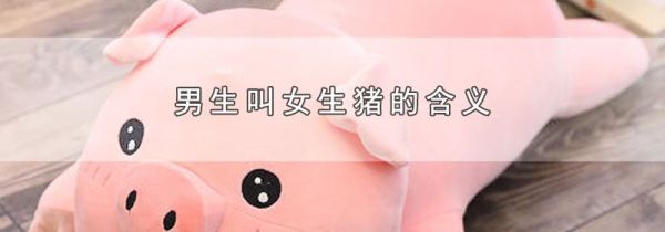 男生叫女生猪的含义