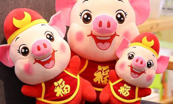 男生叫女生猪的含义