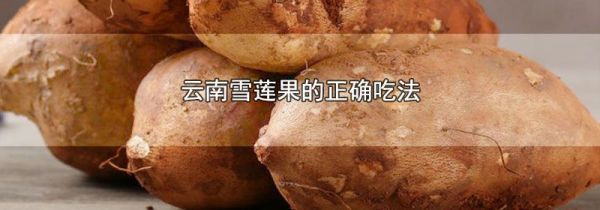 云南雪莲果的正确吃法