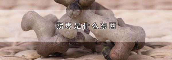 拐枣是什么东西