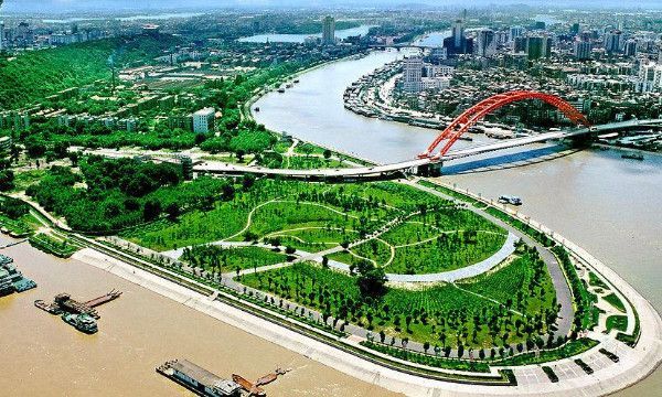 社会脸是什么意思