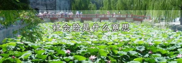 社会脸是什么意思