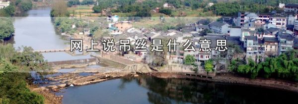 网上说吊丝是什么意思