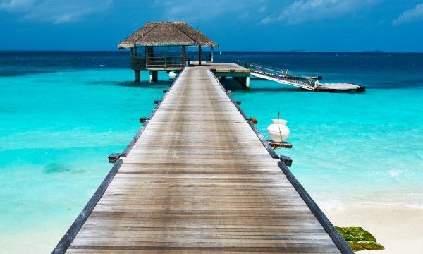 什么人称呼叫大大