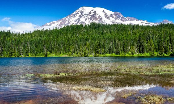 什么人称呼叫大大