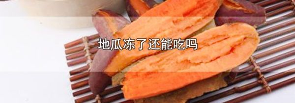 地瓜冻了还能吃吗