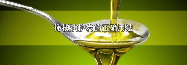 橄榄油护发的正确用法