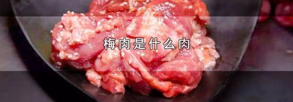 梅肉是什么肉