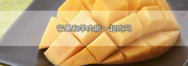 芒果和羊肉能一起吃吗