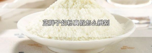 蓝胖子奶粉真假怎么辨别