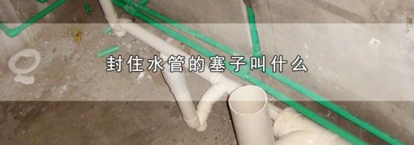 封住水管的塞子叫什么