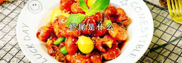 虾尾是什么
