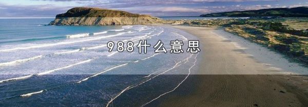 988什么意思