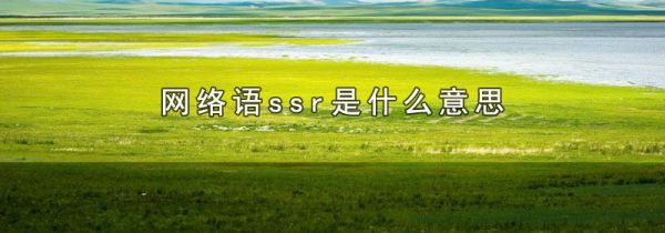 网络语ssr是什么意思
