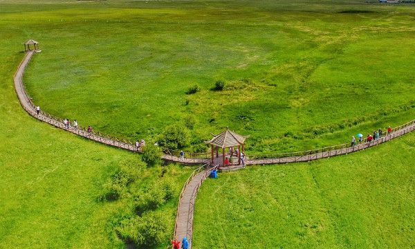 网络语ssr是什么意思