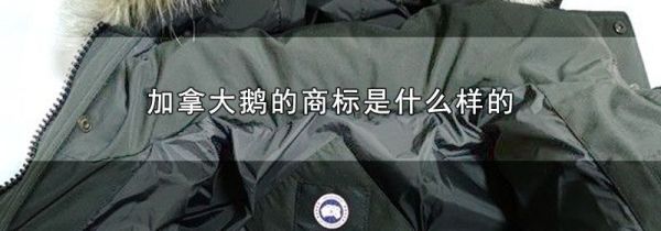 加拿大鹅的商标是什么样的