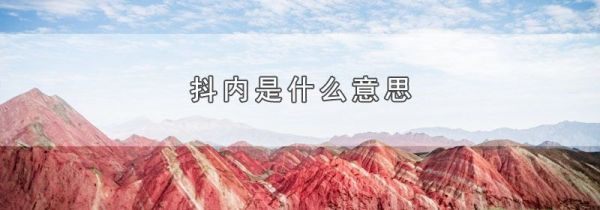 抖内是什么意思