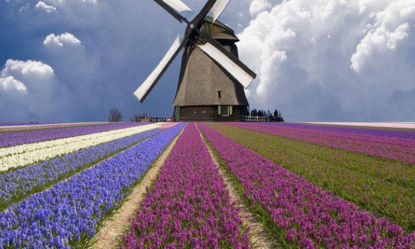 70岁是古稀之年吗