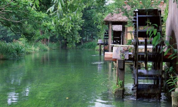 抖内是什么意思