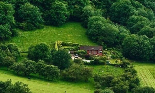 抖内是什么意思