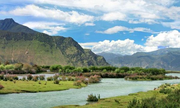 代表友谊的数字