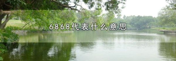 6868代表什么意思