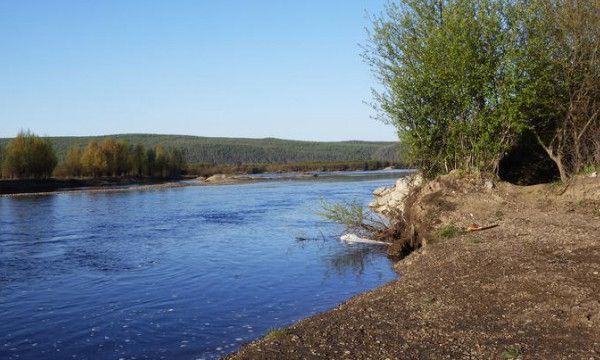 代表友谊的数字