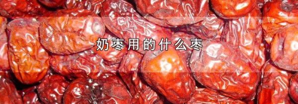 奶枣用的什么枣