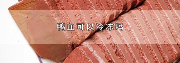 鸭血可以冷冻吗