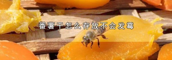 番薯干怎么存放不会发霉