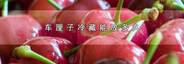 车厘子冷藏能放多久