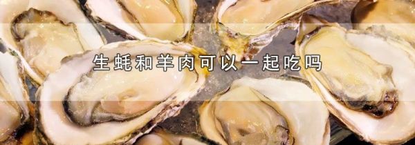 生蚝和羊肉可以一起吃吗