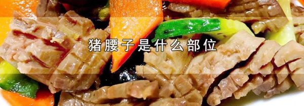 猪腰子是什么部位