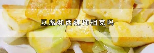 豆腐和西红柿相克吗