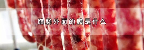 腊肠外面的膜是什么