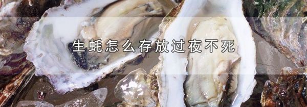 生蚝怎么存放过夜不死