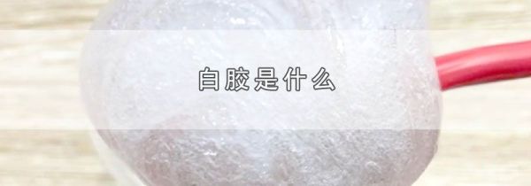 白胶是什么