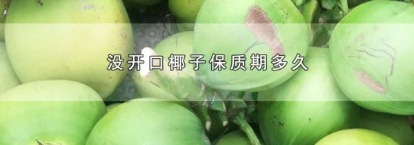 没开口椰子保质期多久