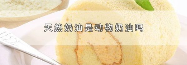 天然奶油是动物奶油吗