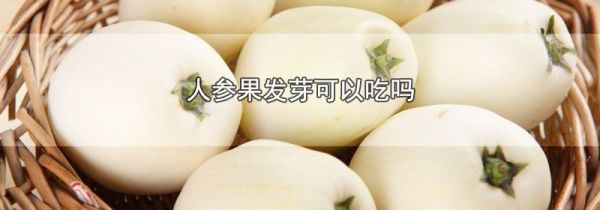 人参果发芽可以吃吗