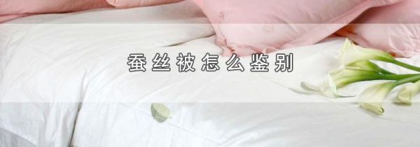 蚕丝被怎么鉴别