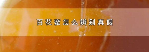 百花蜜怎么辨别真假