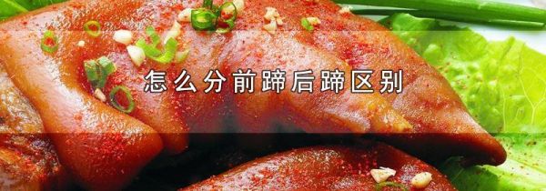 怎么分前蹄后蹄区别