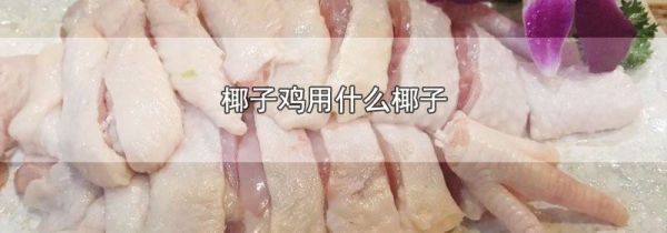 椰子鸡用什么椰子